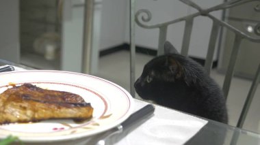 black cat watching a piece of meat on the kitchen table.