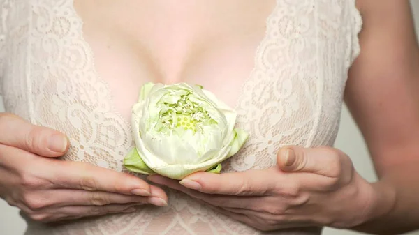 Close-up. female breast closeup with lotus flower in her hands. female breast health concept — Stock Photo, Image