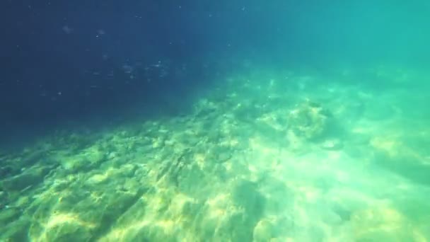 First-person view, a man swims under water looking at the underwater world and small tropical fish — Stock Video