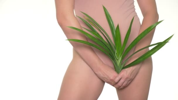 Mulher segurando folhas verdes frescas no fundo lingerie, conceito de saúde feminina e cuidados com o corpo — Vídeo de Stock