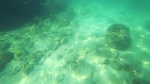 First-person άποψη, ένας άνθρωπος που κολυμπάει κάτω από το νερό βλέπουν τον υποβρύχιο κόσμο και μικρά τροπικά ψάρια — Αρχείο Βίντεο