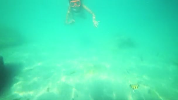 Meisje in een onderwater masker zwemt onder water, gekeken naar de onderwaterwereld en kleine tropische vissen — Stockvideo