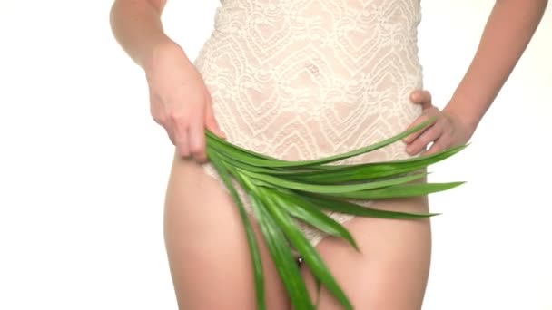 Vrouw met verse groene bladeren op lingerie achtergrond, begrip vrouwelijke zorg voor gezondheid en lichaam — Stockvideo