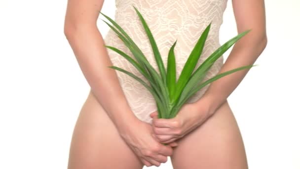 Kvinna Med Färska Gröna Blad Underkläder Bakgrund Begreppet Kvinnliga Hälsa — Stockvideo