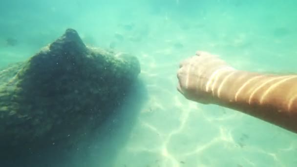 Вид від першої особи, людина плаває під водою, дивлячись на підводний світ і маленьку тропічну рибу — стокове відео