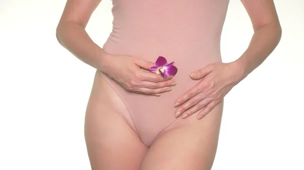 Zona Biquíni Mulher Segurando Uma Flor Fundo Roupa Interior Conceito — Fotografia de Stock