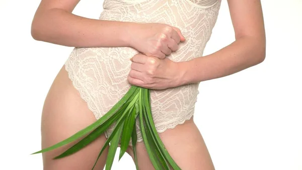 Vrouw met verse groene bladeren op lingerie achtergrond, begrip vrouwelijke zorg voor gezondheid en lichaam — Stockfoto