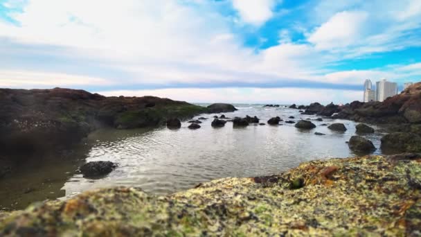 Zee ebb, rotsachtige kust na laagwater tegen een blauwe lucht en de wolken. zeegezicht — Stockvideo