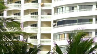 gökdelenler bir arka plan üzerinde palmiye yaprakları