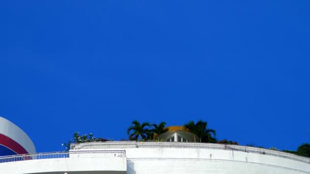 Palmeras creciendo en un rascacielos . — Vídeos de Stock