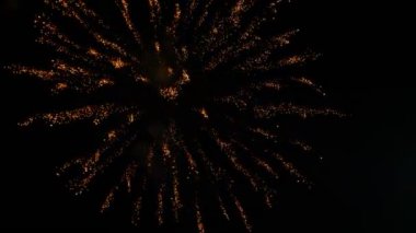 Gece gökyüzünde renkli havai fişek soyut. arka plan kopya alanı.