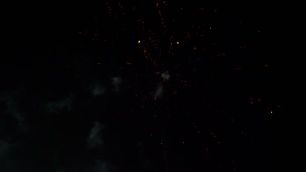 Abstract colored fireworks in the night sky. background copy space — Stock Video