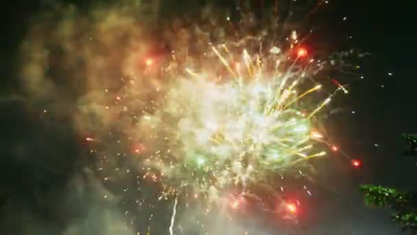 Fuochi d'artificio astratti colorati nel cielo notturno. spazio di copia di sfondo — Video Stock