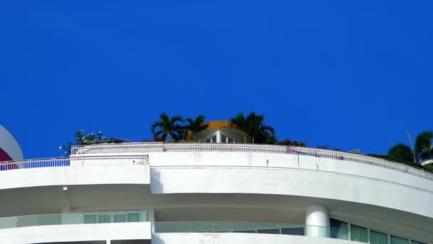 生长在摩天大楼上的棕榈树 — 图库视频影像
