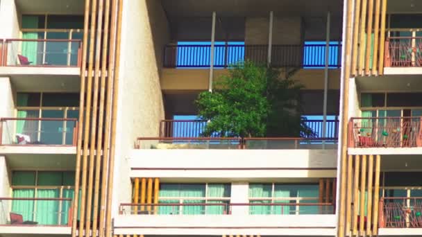 Palmové stromy rostoucí na mrakodrap. — Stock video