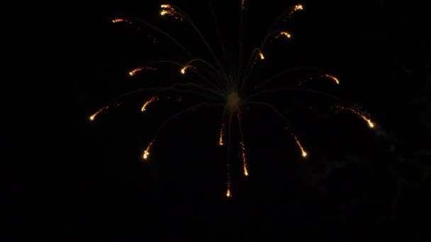 Abstrakte Farbige Feuerwerke Nachthimmel Hintergrundkopierraum — Stockvideo