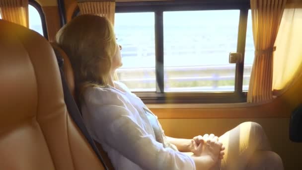 Frau schaut aus dem Fenster und ruht sich auf dem gemütlichen Rücksitz eines modernen Autos aus. — Stockvideo