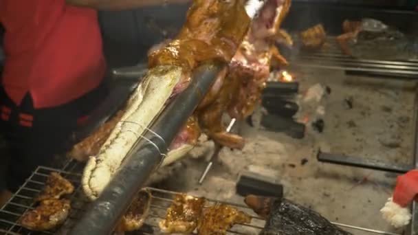 Concept of asian cuisine. A small alligator stretched on a spit roasted over a campfire. — Stock Video