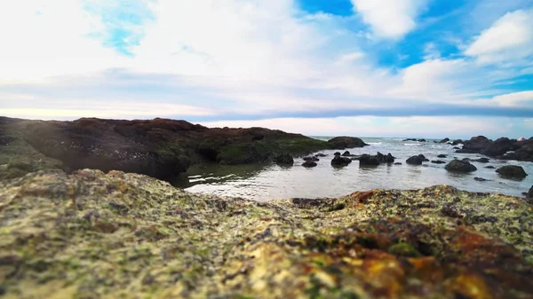 Sea ebb, rocky seashore after low tide against a blue sky and clouds. seascape — Stock Photo, Image