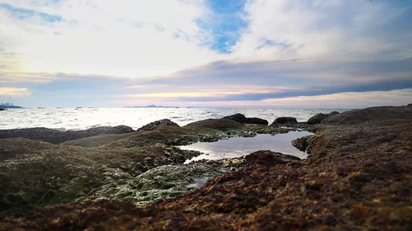 Havet ebb, steniga havsstrand efter lågvatten mot en blå himmel och moln. Seascape — Stockfoto