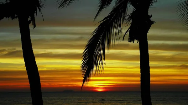 Silhueta de uma palmeira de coco no pano de fundo de um belo pôr do sol em uma praia tropical . — Fotografia de Stock