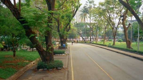 View of the urban landscape park, bike and jogging among beautiful nature. — 图库视频影像