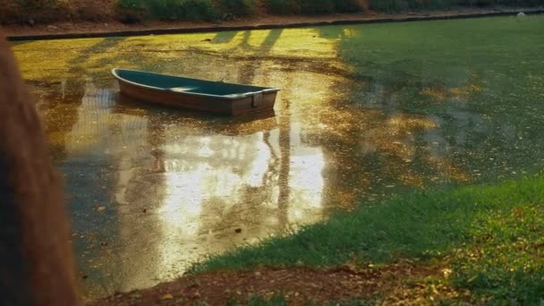 Abandoned boat among the river overgrown with duckweed. sunny summer day — Stock Video