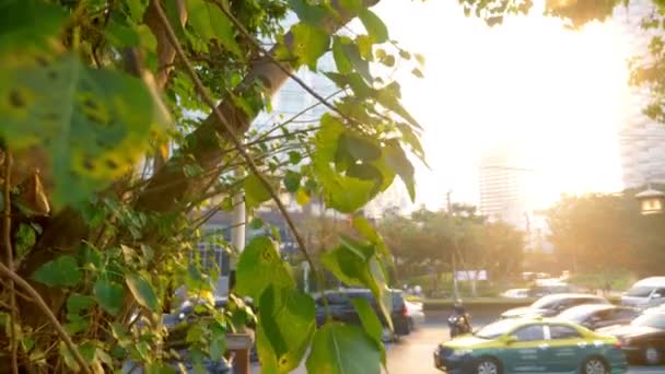 Uma mulher com uma câmera caminha pelas ruas de uma grande cidade moderna — Vídeo de Stock