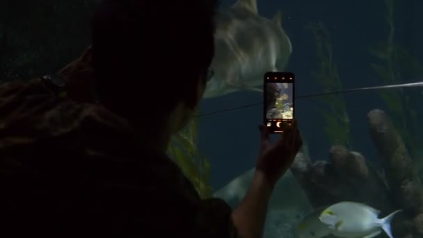 Debaixo d 'água, tubarões nadam debaixo d' água. de perto, homem fotografa um tubarão ao telefone no aquário — Vídeo de Stock