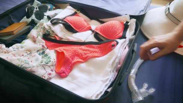 Close-up. menina recolhe uma mala para descansar em países quentes com equipamento de mergulho no mar — Vídeo de Stock