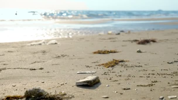 Begreppet förorening av miljön. kustnära papperskorgen på stranden vid lågvatten — Stockvideo