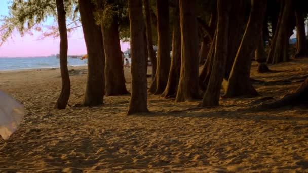 Ein glückliches blondes Mädchen in weißem Kleid und Spitzenumhang schwingt auf einer Seilschaukel am Strand am Meer. — Stockvideo