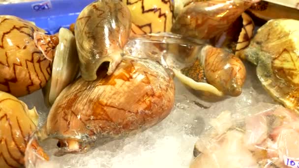 Mercado tradicional tailandês de frutos do mar, com frutos do mar frescos — Vídeo de Stock