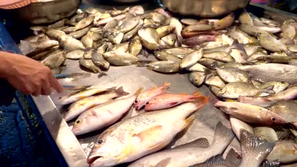Mercado tradicional de comida marina tailandesa, con mariscos frescos — Vídeo de stock