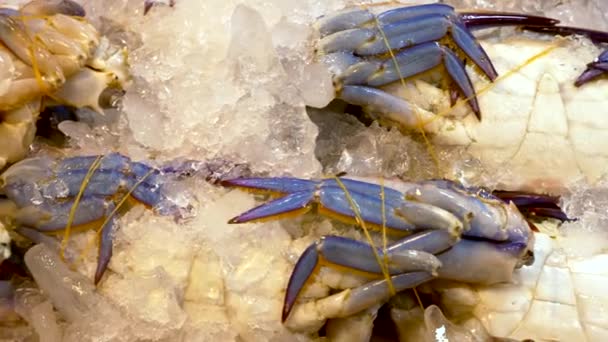 Mercado tradicional tailandês de frutos do mar, com frutos do mar frescos — Vídeo de Stock