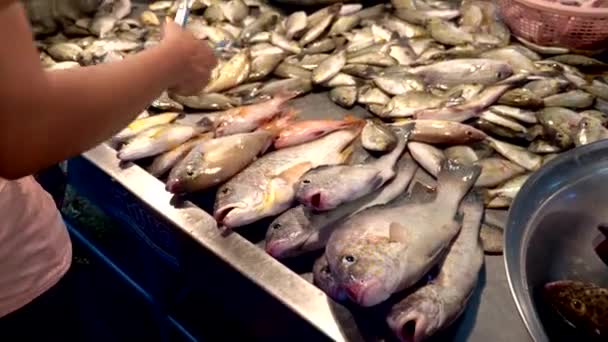 Mercado tradicional de comida marina tailandesa, con mariscos frescos — Vídeos de Stock