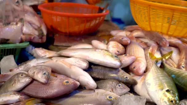 Mercato tradizionale thailandese dei frutti di mare, con frutti di mare freschi — Video Stock