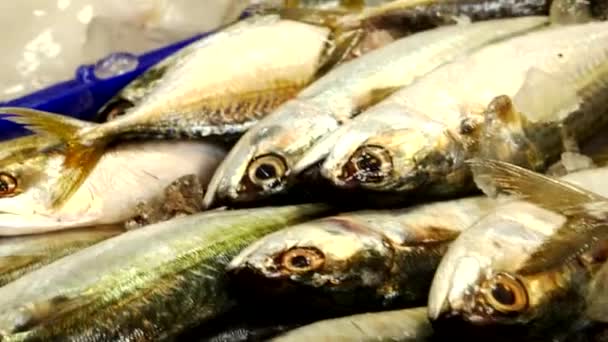 Traditionele Thaise zee voedselmarkt, met verse zeevruchten — Stockvideo