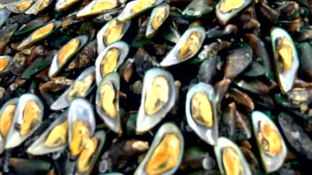 Mercado tradicional de comida marina tailandesa, con mariscos frescos — Vídeo de stock