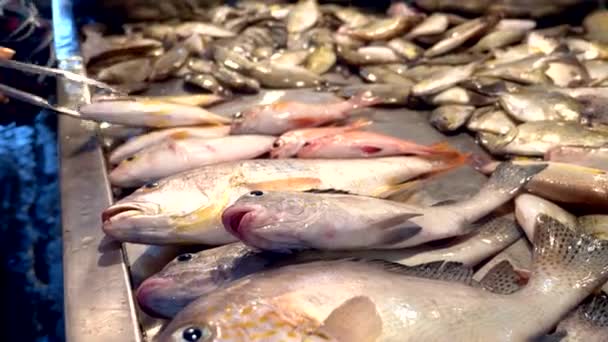 Mercado tradicional de comida marina tailandesa, con mariscos frescos — Vídeo de stock