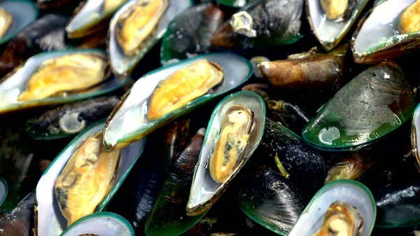 Mercado tradicional de comida marina tailandesa, con mariscos frescos —  Fotos de Stock