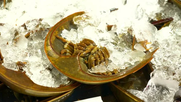 Traditional Thai sea food market, with fresh seafood — Stock Photo, Image