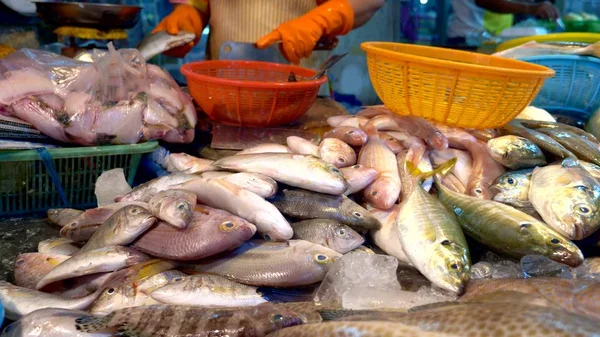 Traditionele Thaise zee voedselmarkt, met verse zeevruchten — Stockfoto
