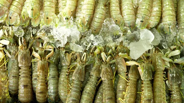 Традиционный рынок морепродуктов, со свежими морепродуктами — стоковое фото