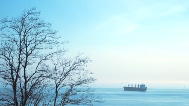 Het verplaatsen van een vrachtschip ver weg in de zee. — Stockvideo