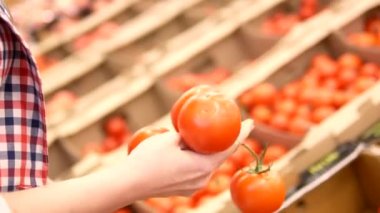 Close. Kadınların elleri süpermarketin meyve ve sebze bölümünde kalitesini belirlemek için bir domates dokunun. kadın mağazada bir şube üzerinde domates toplar