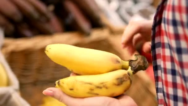 Close-up, a menina escolhe bananas no balcão na mercearia. comparação de bananas grandes e pequenas — Vídeo de Stock