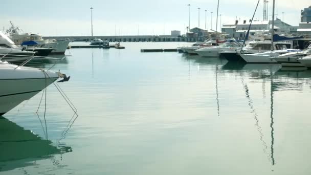 正午にマリーナでボートやヨット — ストック動画