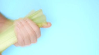 erkek el beyzbol oynamak için bir yarasa olarak bir kereviz sapı tutarak. Eğlenceli gıda projesi