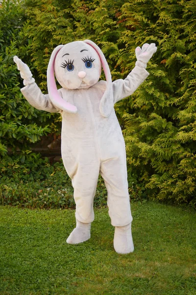 Wachstumspuppe eines riesigen Zeichentrickgrauen Hasen im Park auf dem grünen Rasen — Stockfoto